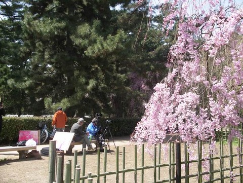 2011-04-12 11-14-13