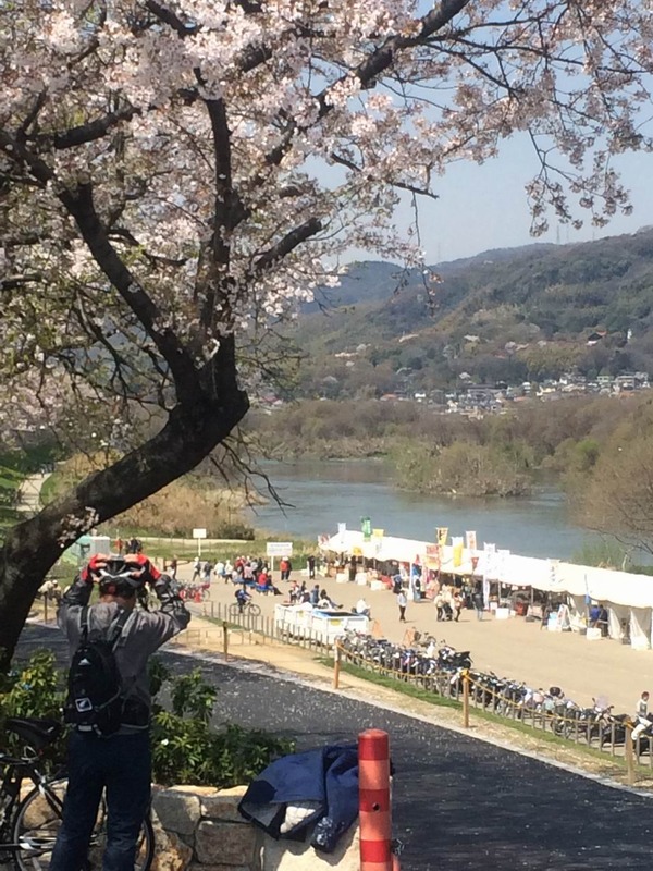 20140407_013344467_iOS