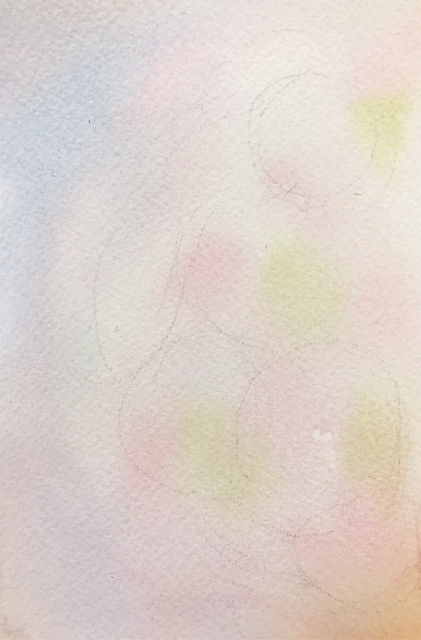20200115透明水彩画「ソメイヨシノ#1」途中 (1)
