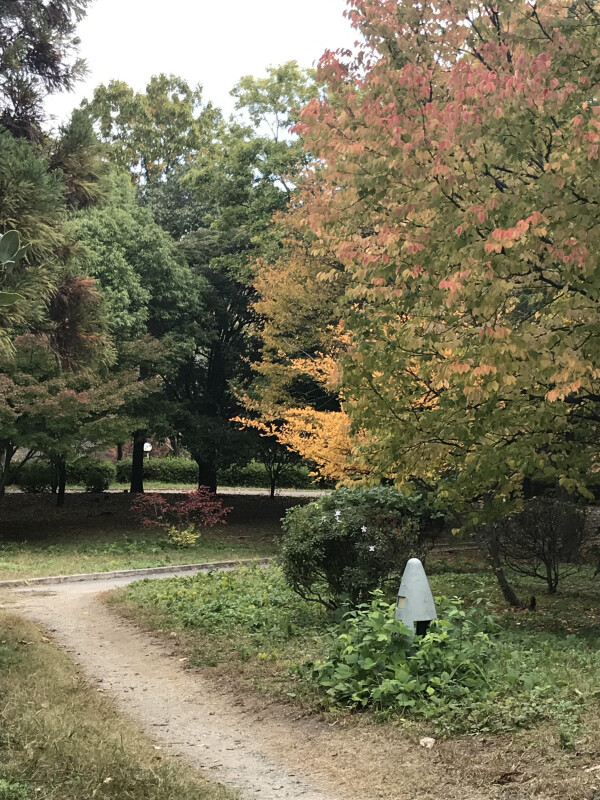 11月26日木曜日 山田池公園(枚方市)スケッチします!