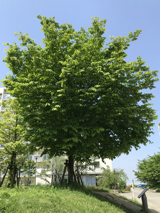 20180428_013819018_iOS