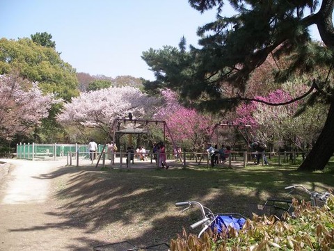 2011-04-12 11-06-50