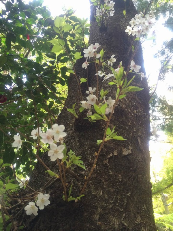 20140411_020738283_iOS