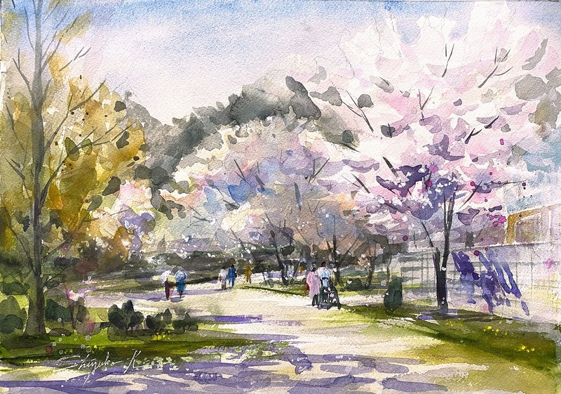 2024.04.12透明水彩スケッチ「桜の花びらひらりはらり」鶴見緑地