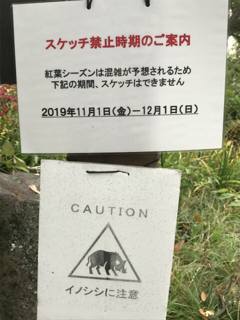 20191125_023903905_iOS