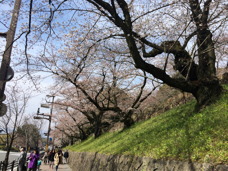 20160329_044627362_iOS