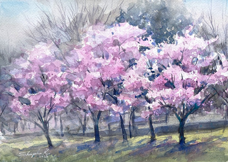 オカメ桜スケッチ🌸＆3月のライブ配信は桜を描きました🌸