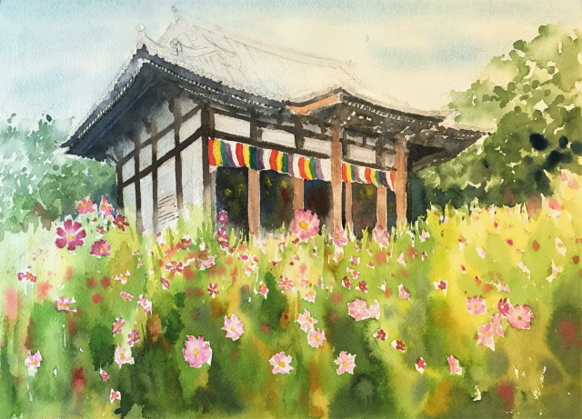 透明水彩画「コスモス寺(奈良)」製作途中 (5)