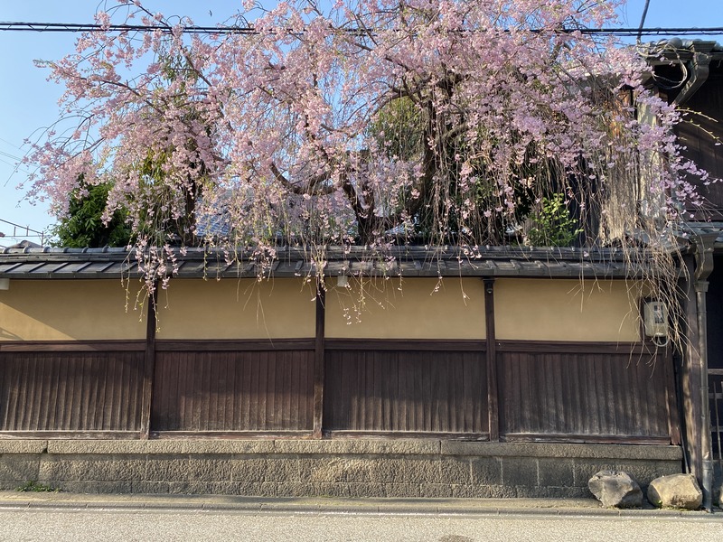 20250411_071835193_iOS