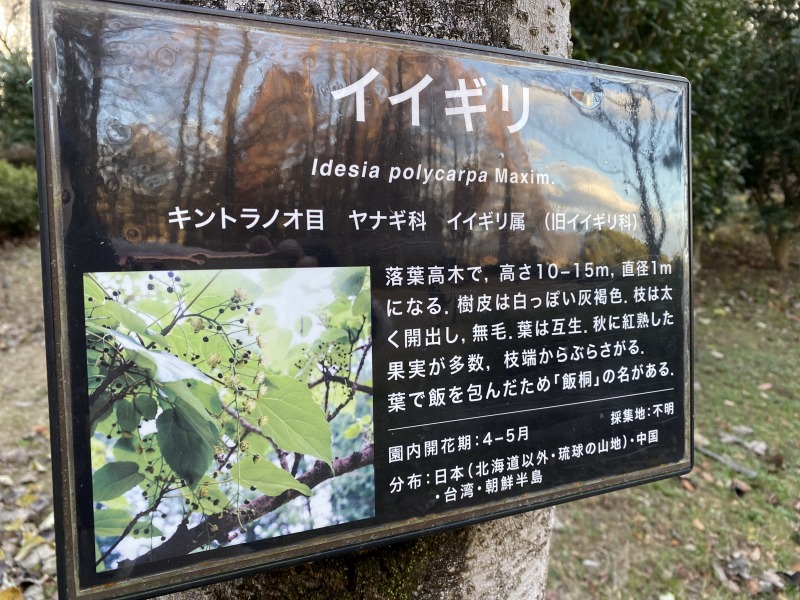 20231217_065534400_iOS