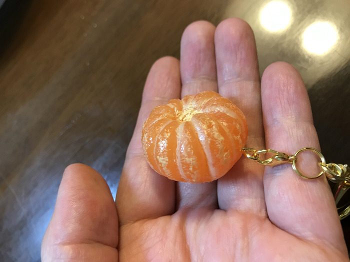 20190404_094924135_iOS