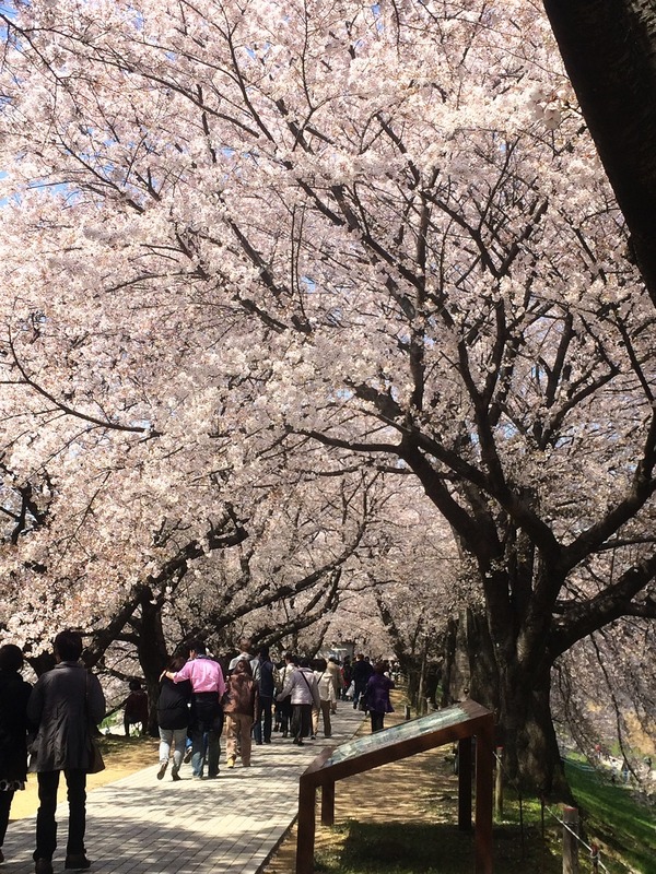 20140407_015847000_iOS