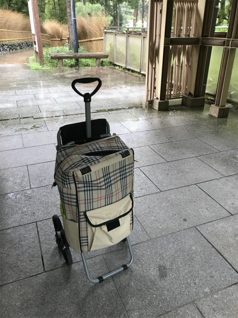 20190904_054639368_iOS