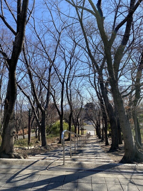 20240117_042130975_iOS