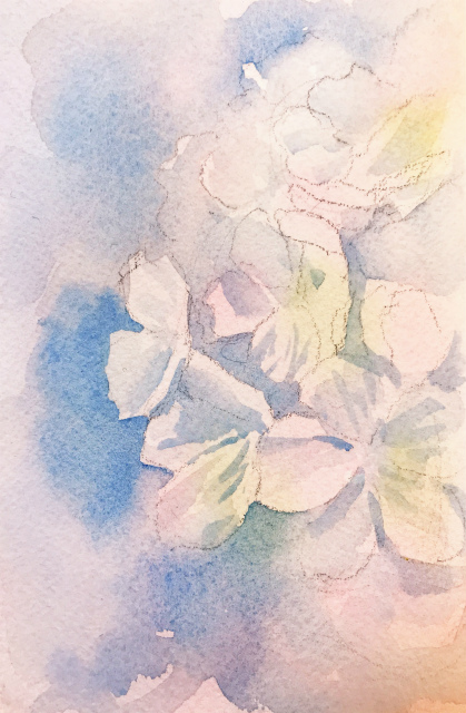 20200115透明水彩画「ソメイヨシノ#1」途中 (2)