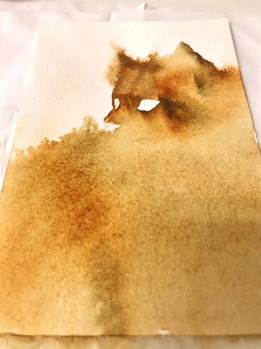 20180605_095317161_iOS