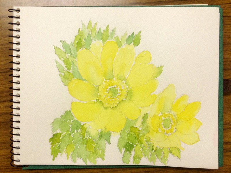 24Gさん透明水彩画