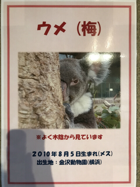 20191128_050745922_iOS