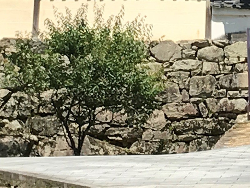 20210529_013452849_iOS
