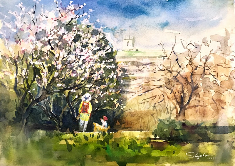 透明水彩スケッチ「あんずの花の咲く丘」鶴見緑地