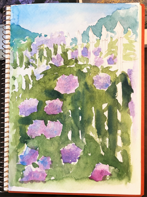 2019.08.14紫陽花途中 (1)