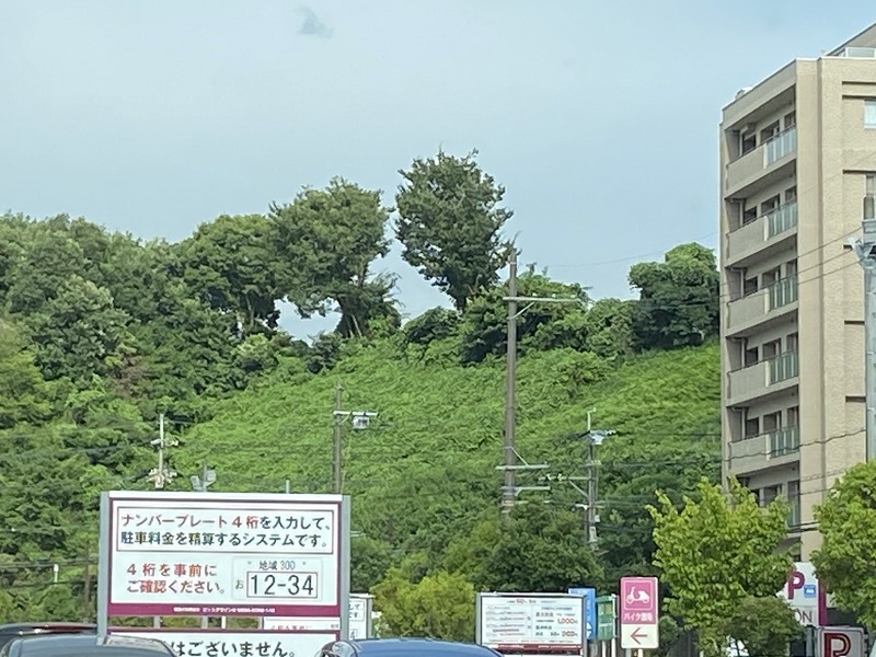 20240724_074422346_iOS