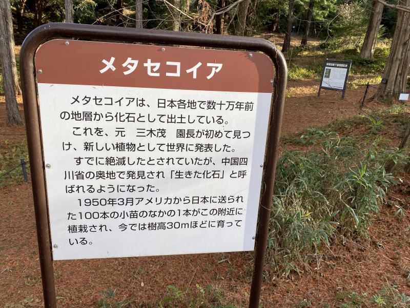 20231217_060727548_iOS