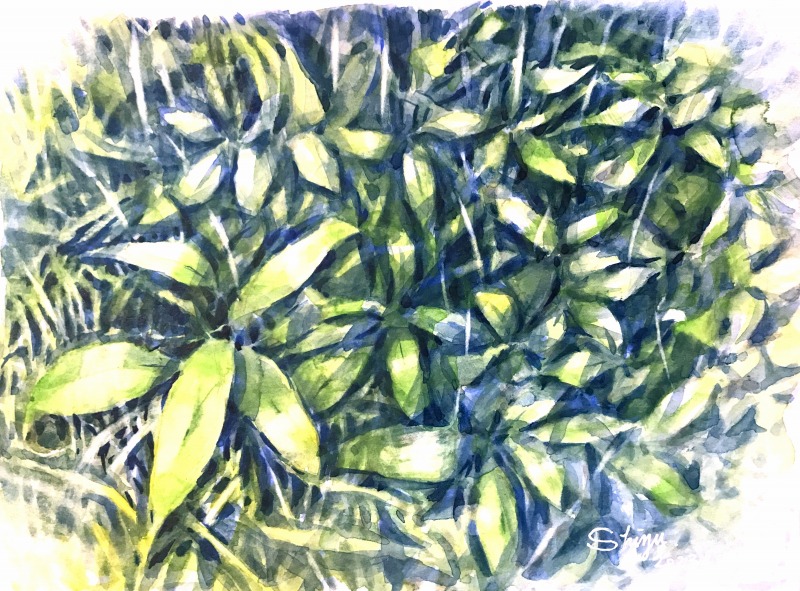 20230505_055131077_iOS