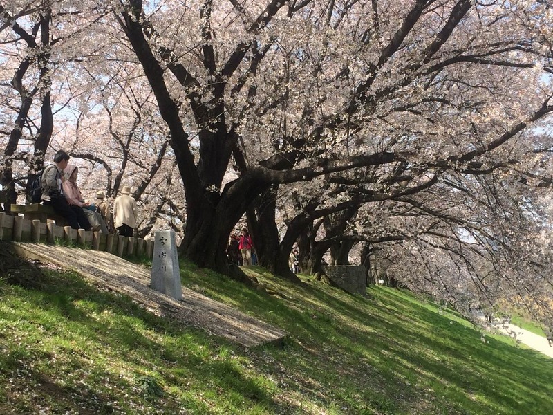 20140407_015015315_iOS