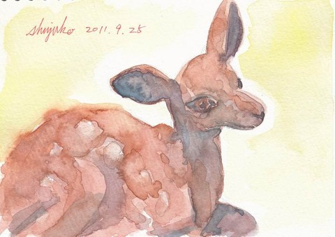20110925 B7
