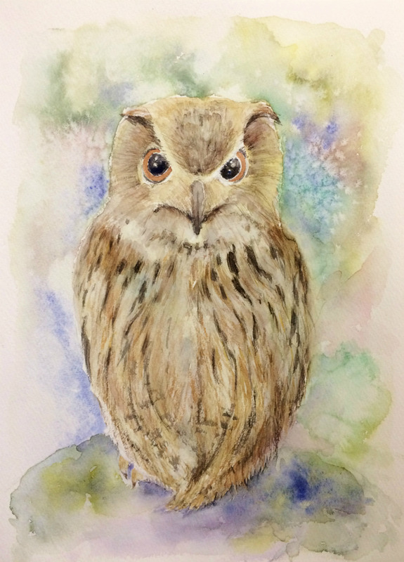 バックを塩の技法で描いたOYMさん透明水彩画「フクロウ」…が動き出す?!