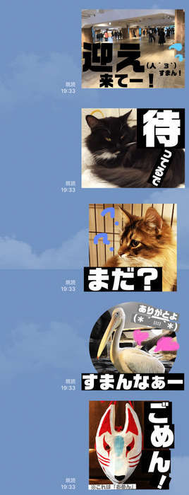 20190131_205416607_iOS