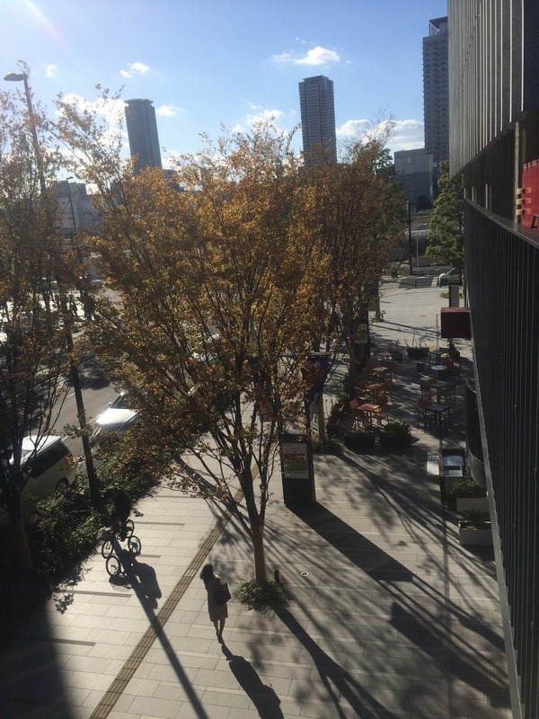 20141113_051155556_iOS
