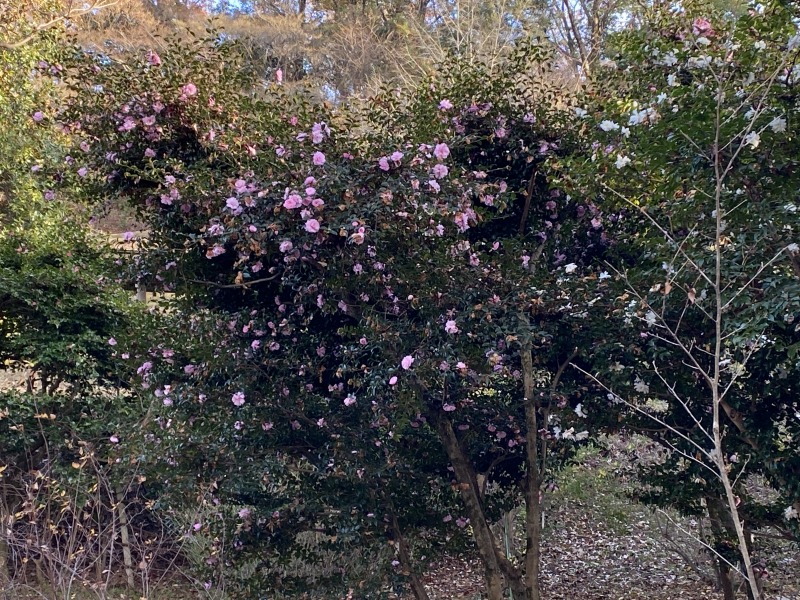 20231217_062139138_iOS