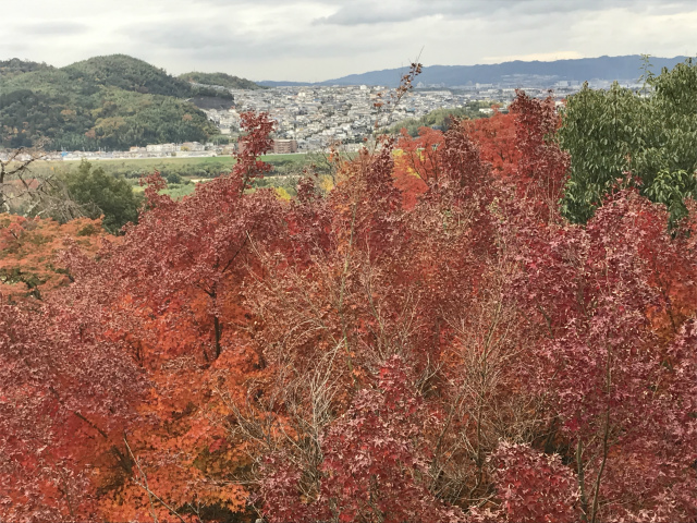 大山崎山荘美術館~東山魁夷スケッチ展~12月1日までですよ~♪
