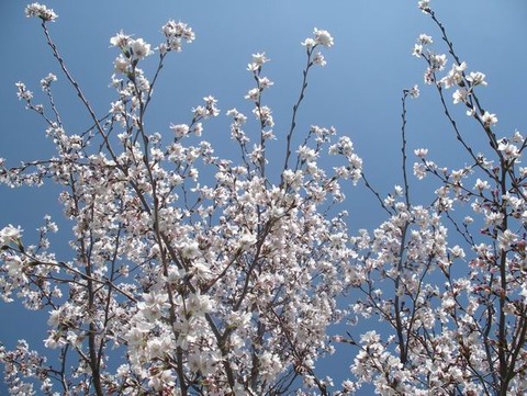 2011-04-06 13-10-42