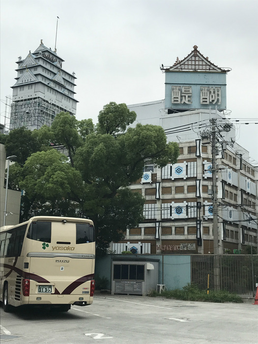 20190703_010918826_iOS