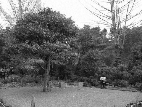 三室戸寺の朝 グレースケール