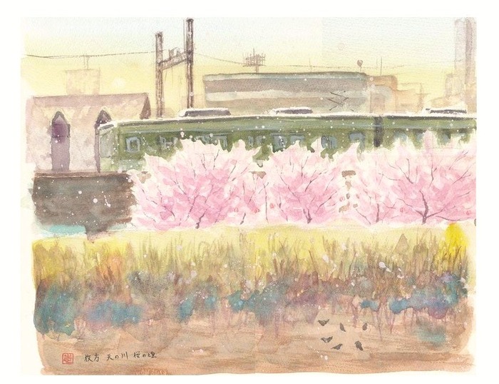 2013.04.08透明水彩スケッチ『枚方 天の川 桜の頃』
