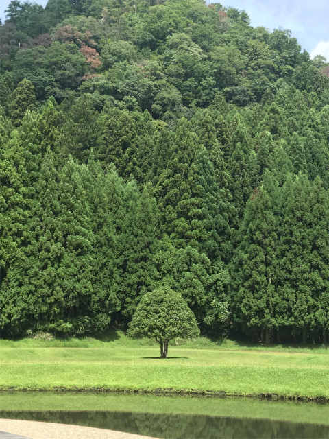 20190822_011950223_iOS