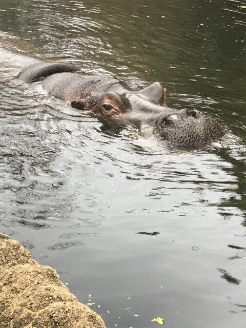 20191128_032809658_iOS