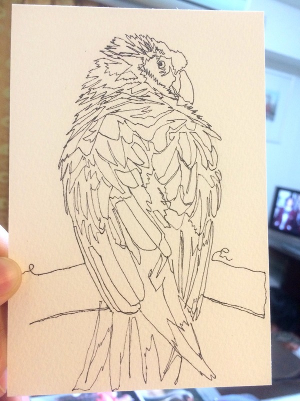 07透明水彩一本線スケッチ「オウム」ペン描き
