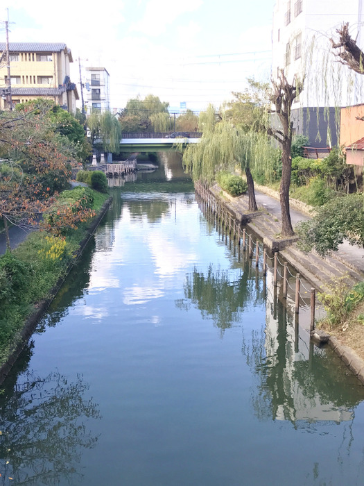 20181030_010746569_iOS