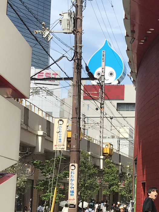 20190512_051402784_iOS