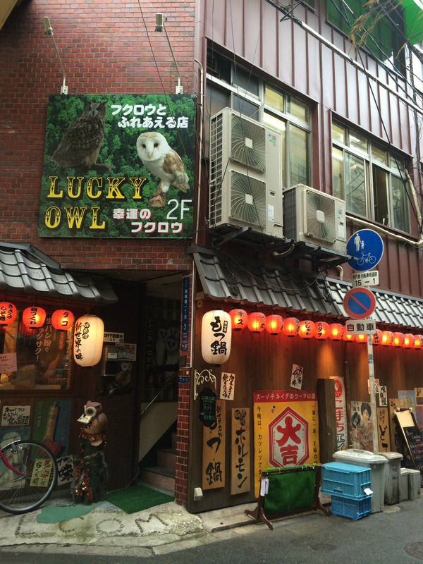 20160427_061321767_iOS