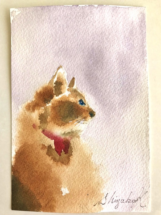 葉書de一日一枚 私も「滲みで猫」を描いてみた(一匹目)