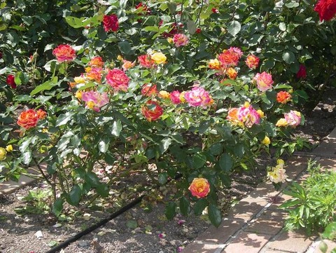 2011-05-14 10-15-38