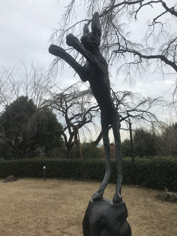 20221221_031557752_iOS