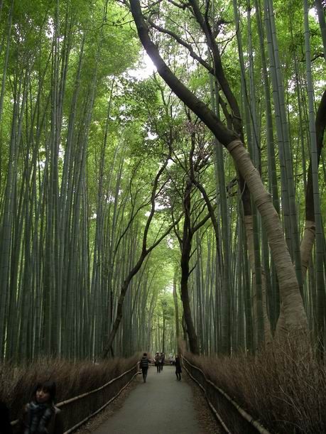京都は　嵐山　「保津川下り」に行って来ました。