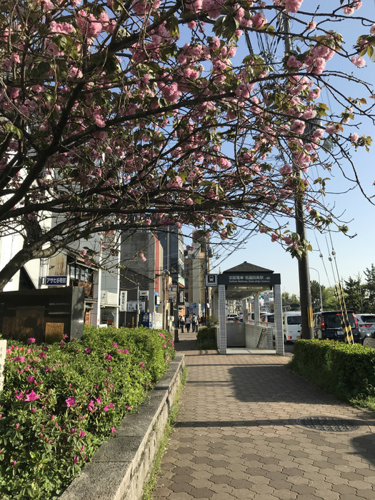 20190422_074640769_iOS